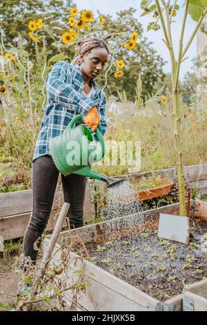 Young female volunteer watering plants in urban farm Stock Photo