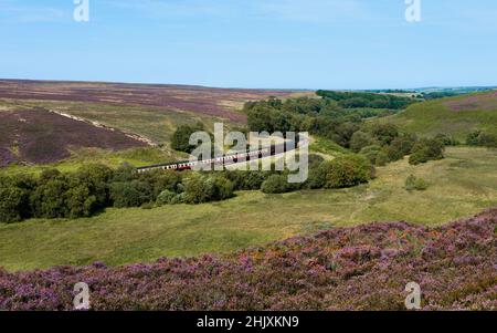 North Yorkshire Moors vintage steam railway train chugging through moorland landscape with heather in full bloom under blue sky near Goathland, UK. Stock Photo