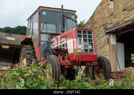 Red International Harvester farm tractor model 374, 35 hp, 1976 - 1977, front and side view, UK Stock Photo