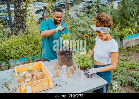Young male and female farmers planting flower in pot at organic farm Stock Photo
