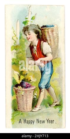 Original Victorian scrapbook seasonal New Year's greetings card cutting, sentimental image of a young boy with basket or pannier of grapes, grape vines.  late 1890's, UK Stock Photo