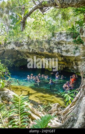 Grand Cenote, Tulum, Quintana Roo, Mexiko Stock Photo