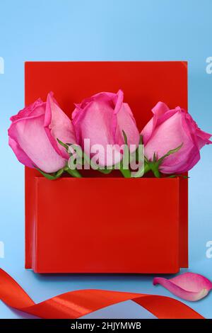 Three pink roses in red box envelope with petal and ribbon on blue background. Holiday, Valentine's, International Women's and Mother's Day, March 8, Stock Photo