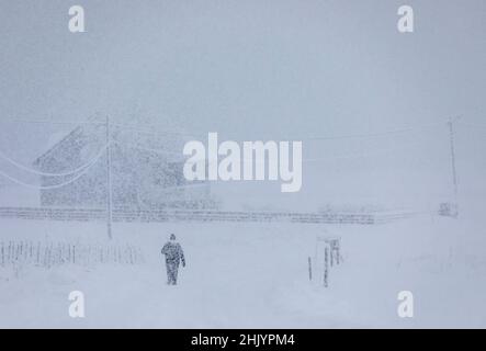 Person walking in deep snow while snowing Stock Photo