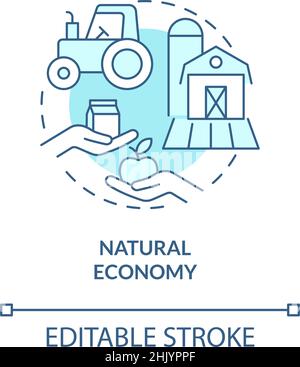 Natural economy turquoise concept icon Stock Vector