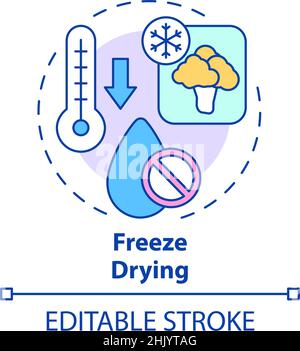 Freeze drying concept icon Stock Vector