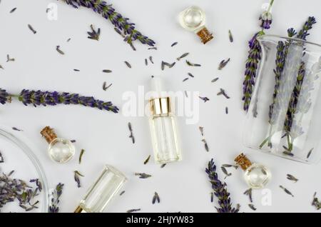 Composition of bottles with lavender oil and lavender flowers, flat lay. Natural products from lavender Stock Photo