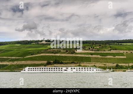 Niederwaldenkmal and vineyards near Ruedesheim am Rhein, Hesse, Germany Stock Photo