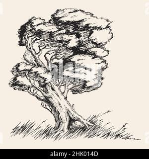 Strong wind tree hand drawn vector illustration Strong wind tree hand drawn vector illustration Stock Vector