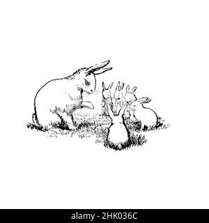 Black and white illustration, bunny rabbit with five little rabbits. Mother looking at the 5 little bunnies, possibly teaching them. Stock Vector