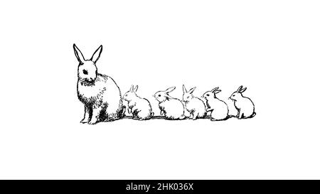 Black and white illustration, bunny rabbit with five little rabbits. Mother looking back at the 5 little bunnies. Stock Vector