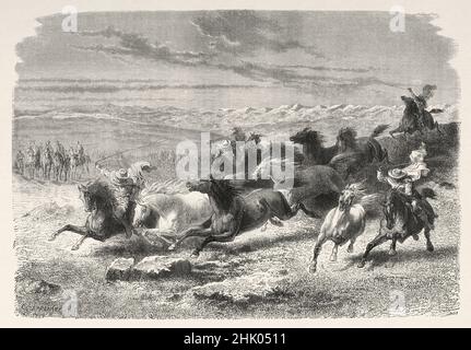 Argentinian gauchos rounding up wild horses in Lauramarca, Ocongate district, Quispicanchi Province, region of Cusco, southern Peru. South America. Old 19th century engraved illustration from Journey across South America by Paul Marcoy, Le Tour du Monde 1870 Stock Photo