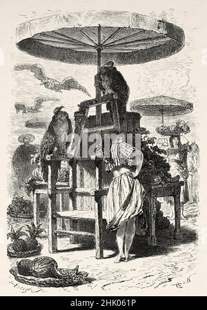 Fruit seller in St. Augustine, Florida, United States of America. Old 19th century engraved illustration from Four months in Florida by Achille Poussielgue, Le Tour du Monde 1870 Stock Photo