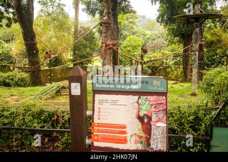 Kuala Lumpur, Malaysia- January 2022: Orangutan enclosure at Zoo Negara Stock Photo