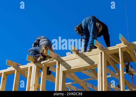 Workers in holding plank installing it on household construction using air hammer in nailing wooden beams of roof home Stock Photo