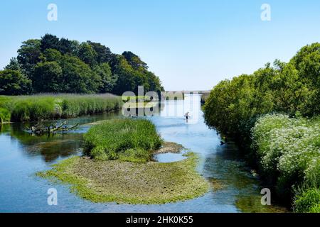 A man makes his way across the River Otter at Budleigh Salterton, Devon, UK. Its a hot summer day and the man is wading through the shallow water Stock Photo