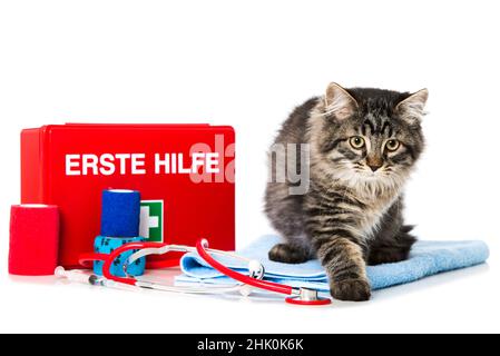 Tabby cat with first aid kit isolated on white Stock Photo