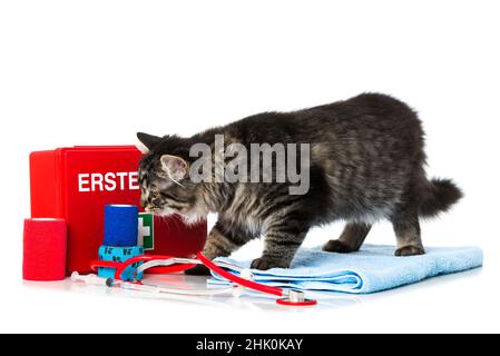 Tabby cat with first aid kit isolated on white Stock Photo