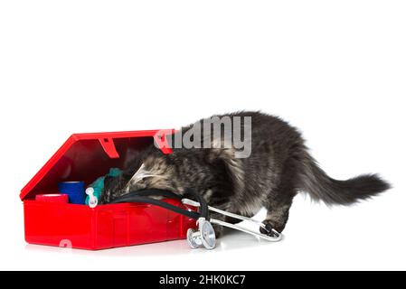 Tabby cat with first aid kit isolated on white Stock Photo