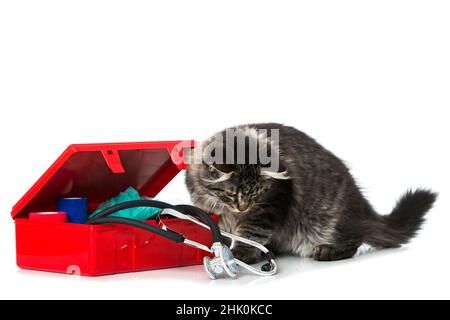 Tabby cat with first aid kit isolated on white Stock Photo