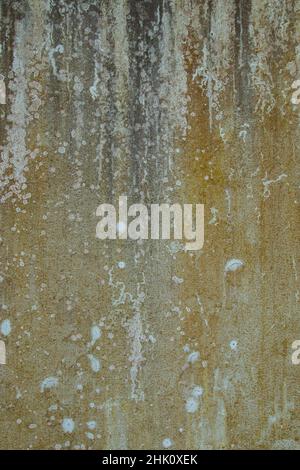 Old distressed wall with damp, grunge textured background Stock Photo