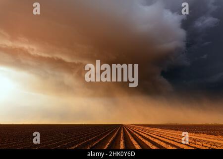 Dust storm over a farm field in the Great Plains near Lubbock, Texas Stock Photo