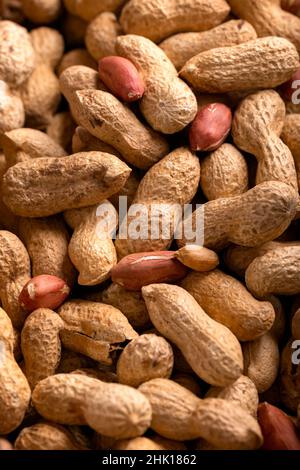 Peanuts or monkey nuts in a shell Stock Photo