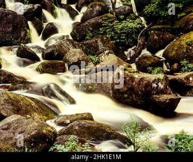 Superb Becky Falls, Water rushing through ancient woodland, natural intimate landscape Stock Photo