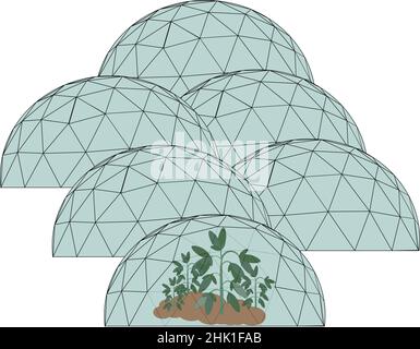 Domed blue greenhouses made of glass with some plants inside isolated on white background. Suitable for grow plants in extreme conditions. vector illu Stock Vector