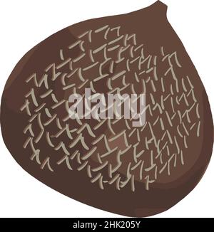 Isolated brown salak fruit Stock Vector