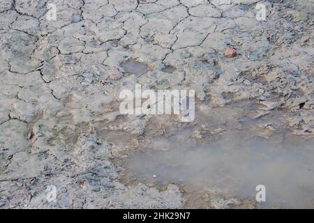 Large cracks appear in the soil surface as the last water evaporates from rain puddles in the Karoo in South Africa Stock Photo