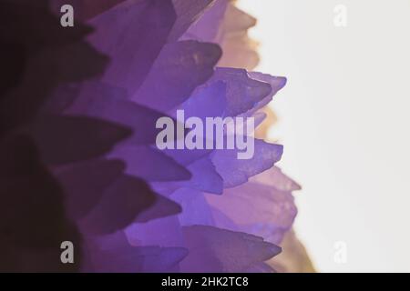 Rose Quartz Stock Photo