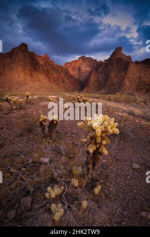 USA, Arizona, Kofa National Wildlife Area. Mountain and desert landscape. Stock Photo