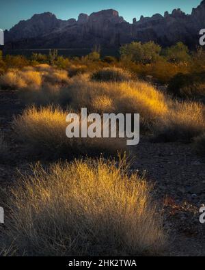 USA, Arizona, Kofa National Wildlife Area. Mountain and desert landscape at sunrise. Stock Photo