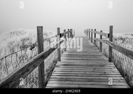 USA, Minnesota, Duluth, Park Point, Boardwalk over Dunes Stock Photo