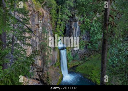 Toketee Falls runs over basalt columns in the Umpqua National Forest, Oregon, USA Stock Photo