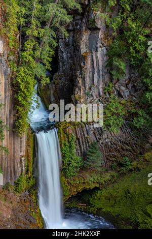 Toketee Falls runs over basalt columns in the Umpqua National Forest, Oregon, USA Stock Photo