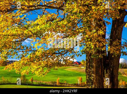 USA, New England, Vermont red barn in the countryside with Fall colors Stock Photo