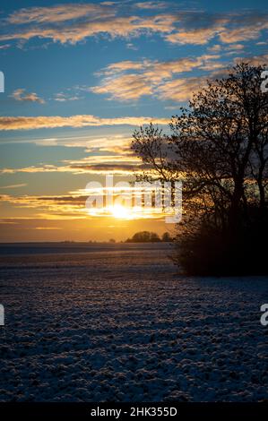 Sun is rising over snow covered farm fields in southern Sweden Stock Photo