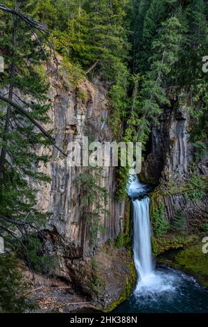 Toketee Falls runs over basalt columns in the Umpqua National Forest, Oregon, USA Stock Photo