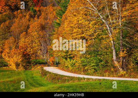 USA, New England, Vermont, curved dirt road and sugar maple trees in Fall colors. Stock Photo