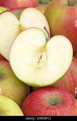 Sliced apple 'Cripps Red' (Malus domestica) Stock Photo