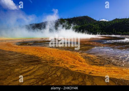 Yellowstone Spring Steam Steam rising off Grand Prismatic Spring, Yellowstone National Park ...