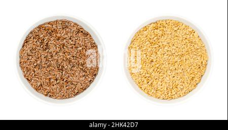 Brown and golden flax seeds, in white bowls. Whole common flax or linseed, Linum usitatissimum, rich in omega-3 fatty acids, a nutritional supplement. Stock Photo