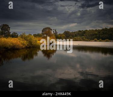 USA, New Jersey, Pinelands National Preserve. Storm clouds over lake. Stock Photo