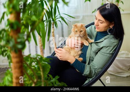 Woman sitting on the armchair holding cute ginger cat, Female hugging her cute long hair kitty, Playing with cat at green home, Concept of home garden Stock Photo