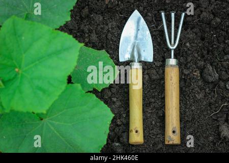Garden tools on fertile soil background. Top view. The concept of gardening or planting. Work in the garden. Stock Photo