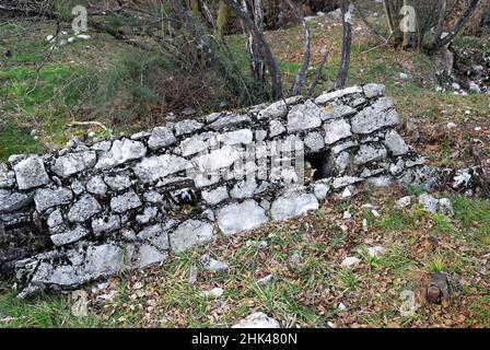 Trincea delle Frasche (trench of the leafy boughs) was one of the most difficult obstacles the Italian soldiers met in their way to the assault of mount San Michele. The trench was dug by the Absburgic army in the early months of war and was conquered by the Italians at the end of 1915. Its name was due to the military craftiness of the Hungarian soldiers, who used leafy boughs to conceal it from the surveillance aircraft. After its conquest, the Italians fortified it anew, and used it from autumn 1916 and the early months of 1917. Stock Photo