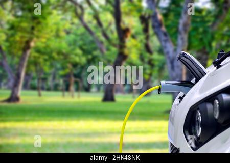 Close-up EV Car charging battery via plug connect of electric charge machine on green energy background Stock Photo