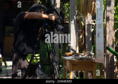 Thai men people reporter use digital camcorder video for broadcast live report news of organic farmer street market festival event fair at garden park Stock Photo